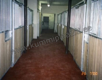 Hobusetallid ja maneezid