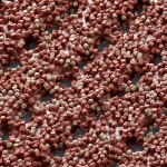 Alumiiniumprofiil servaga trepimoodul, Terrakota